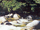Mossman Gorge