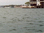 Sailing into Sydney harbour