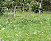 Ivan, Pamela & Brandi