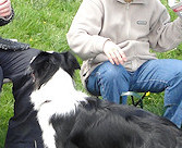 Ivan, Pamela & Brandi