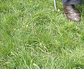 Ivan, Pamela & Brandi