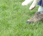 Hang on Keith! Ruban spots something exciting...