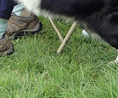 Hang on Keith! Ruban spots something exciting...