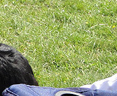 Molly on her way to say hello