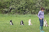 Practice stays - Summer, Misty, Carys, Tess, Rupert