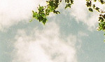 A long way up!