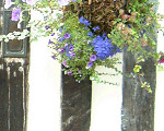 The great studded door of the Shrieve's House